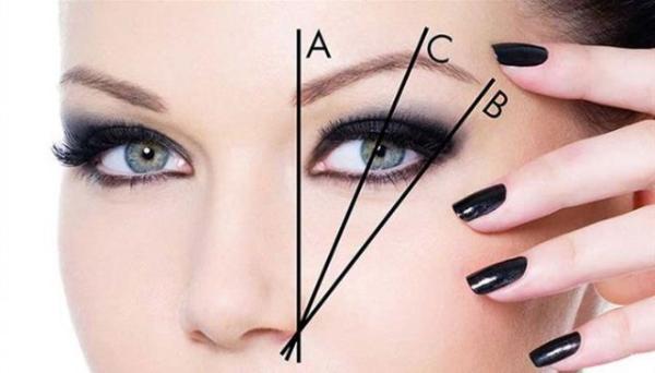 The nasolabial angle and columella-lobular angle